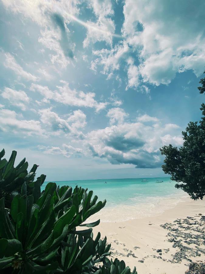Crystal Beach Nungwi Eksteriør bilde