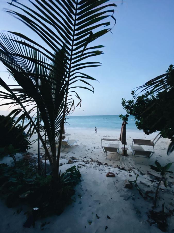 Crystal Beach Nungwi Eksteriør bilde